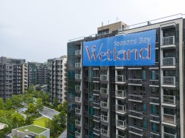 Wetland seasons bay3
